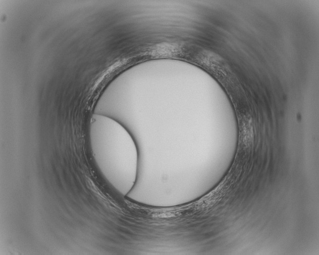 X0000059800208200510210905