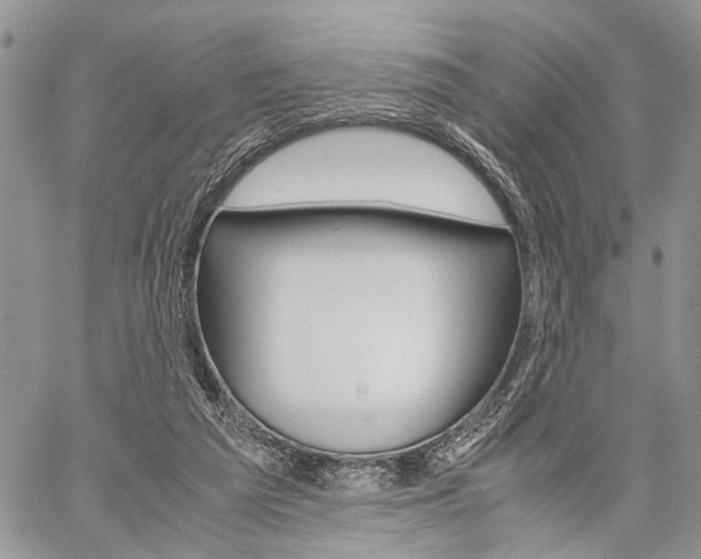 X0000059800209200510210905