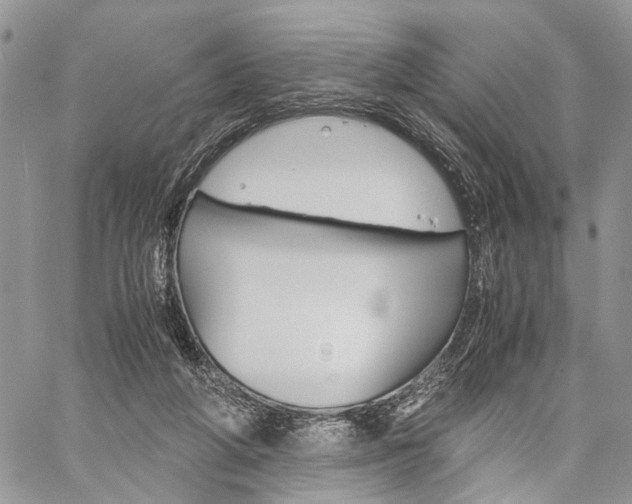 X0000059800210200510210905