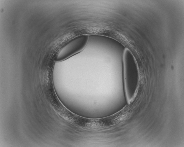 X0000059800211200510210905