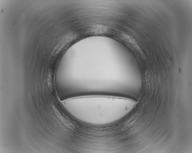 X0000059800212200510210905