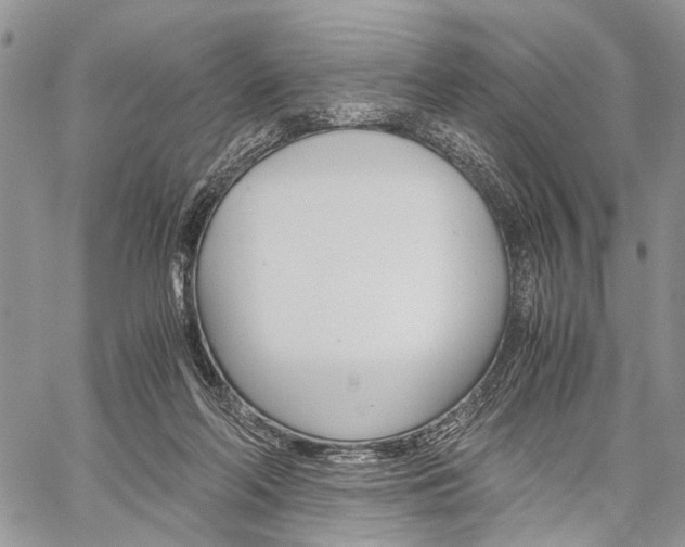 X0000059800214200510210905