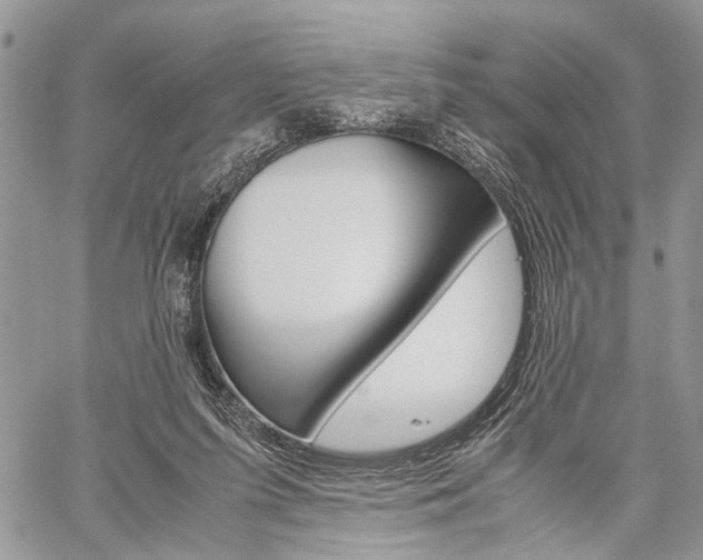 X0000059800215200510210905