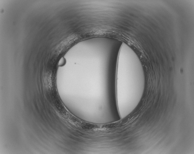 X0000059800216200510210905