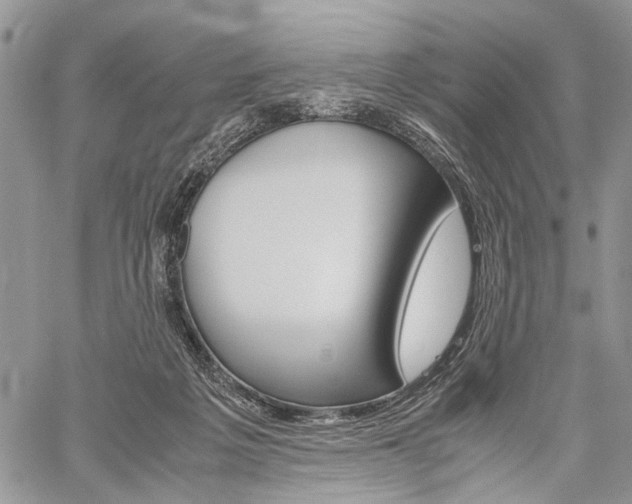 X0000059800217200510210905