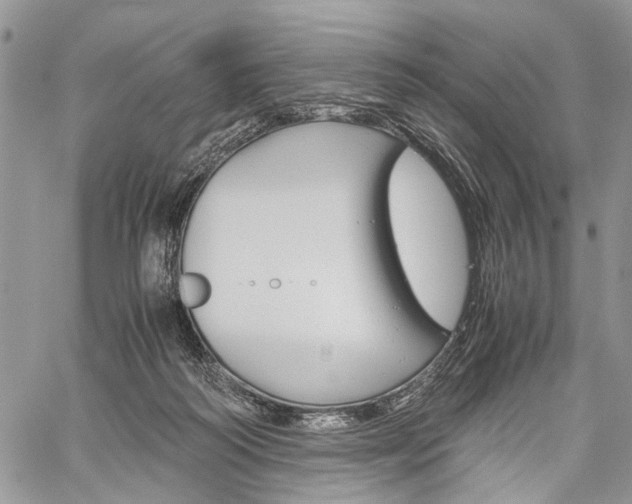 X0000059800218200510210905