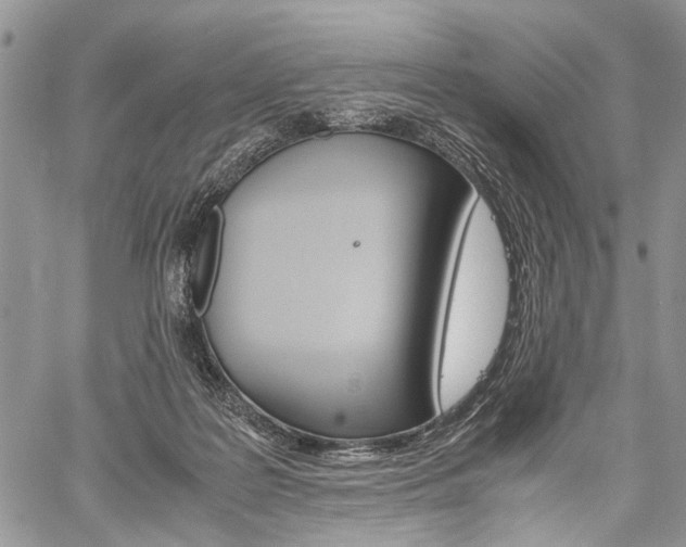 X0000059800219200510210905