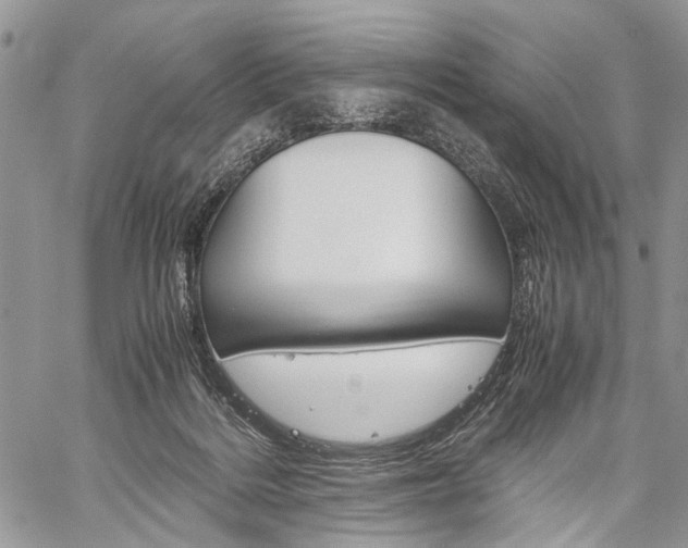 X0000059800220200510210905