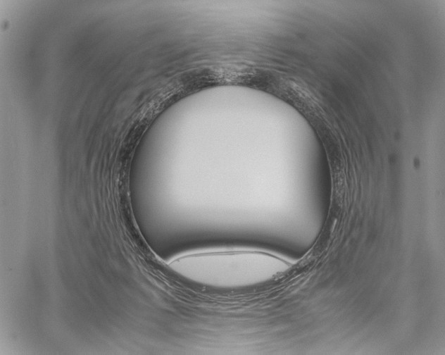 X0000059800221200510210905