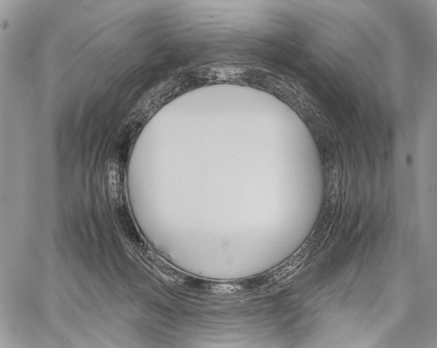 X0000059800222200510210905