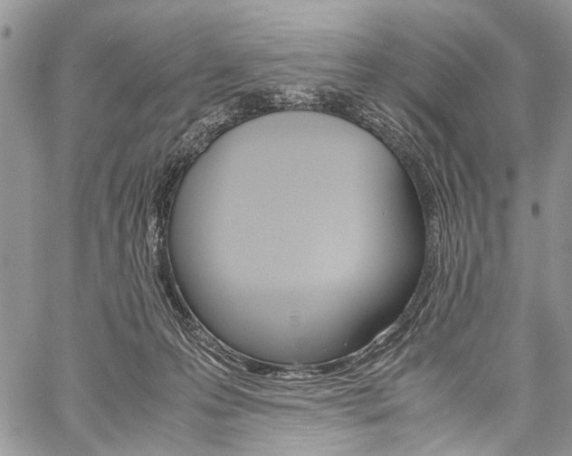 X0000059800223200510210905