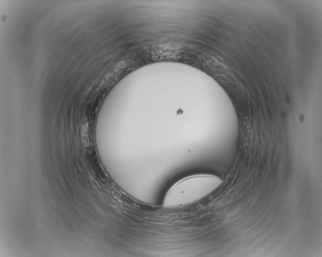 X0000059800224200510210905