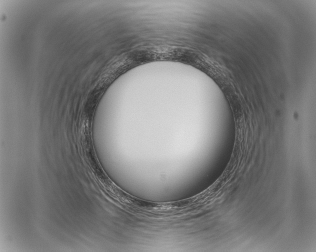 X0000059800225200510210905