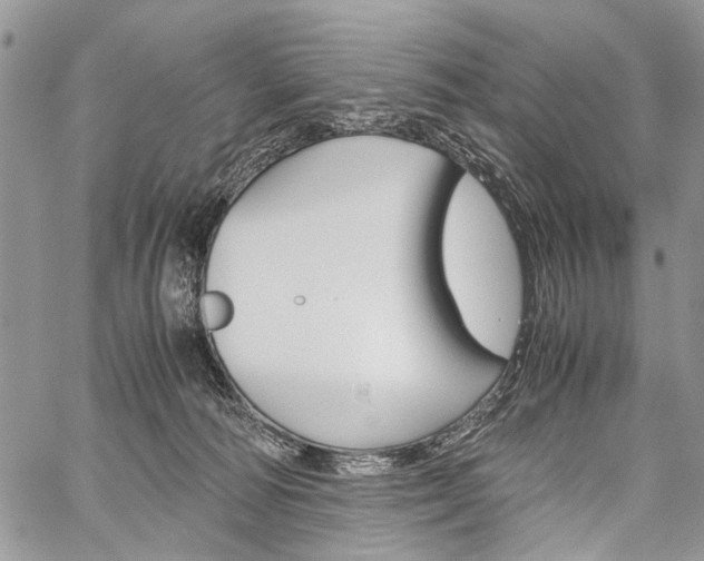 X0000059800226200510210905