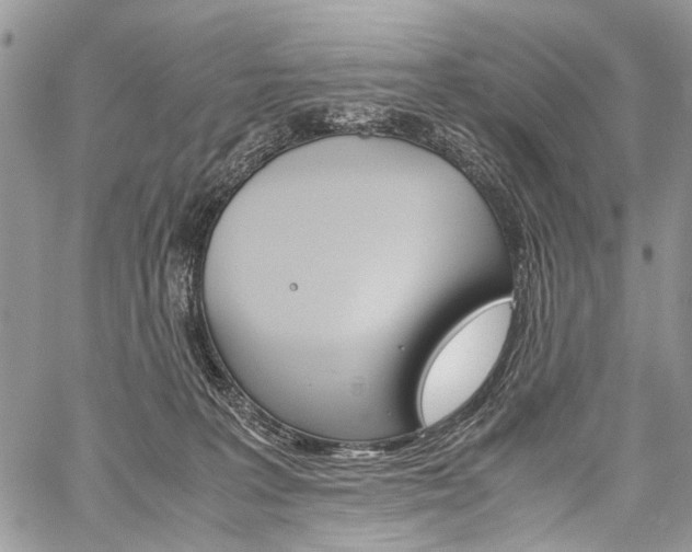 X0000059800227200510210905