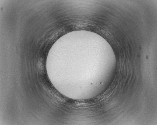 X0000059800228200510210905