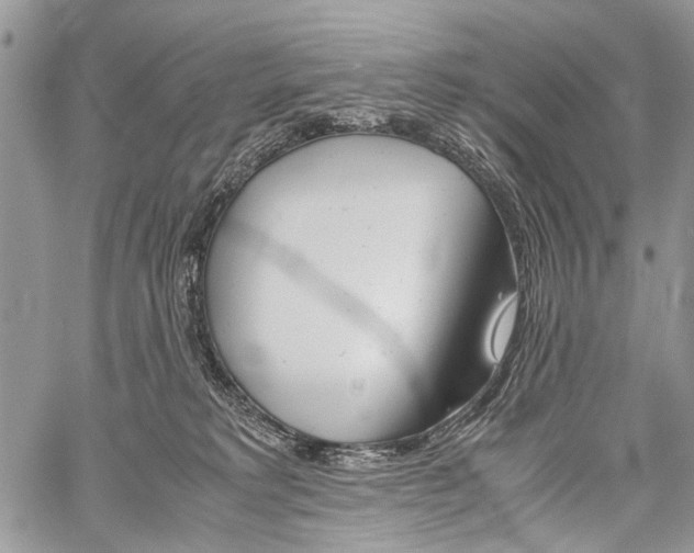 X0000059800229200510210905