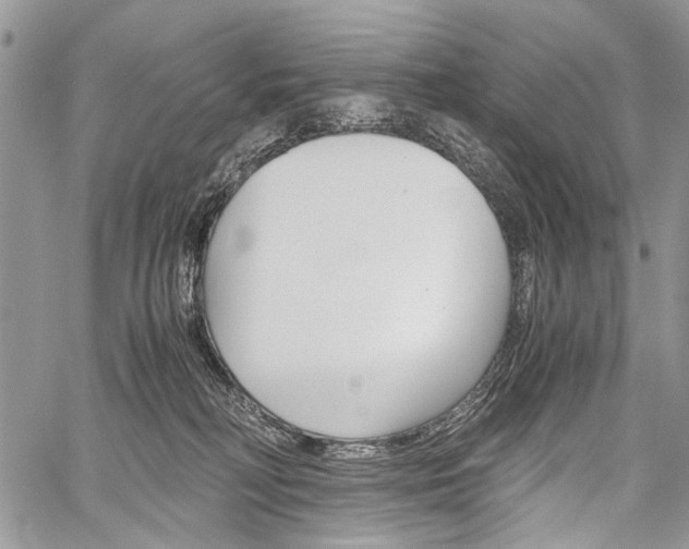 X0000059800230200510210905