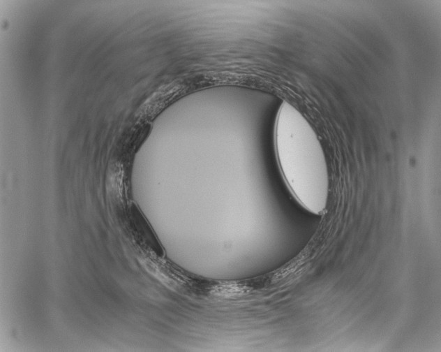 X0000059800231200510210905