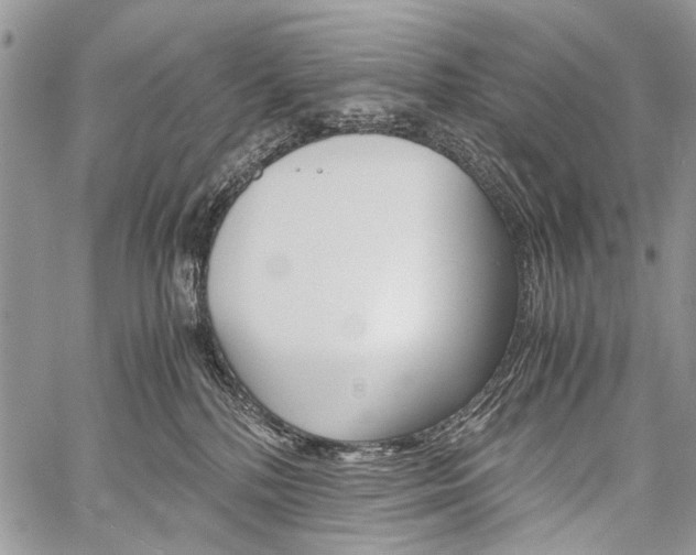 X0000059800232200510210905