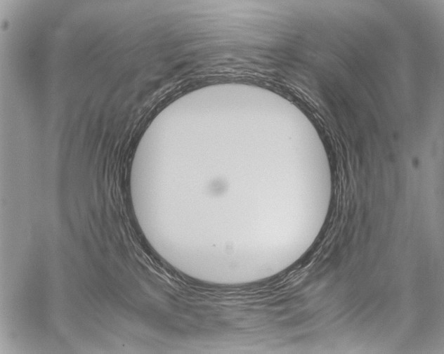 X0000059800233200510210905