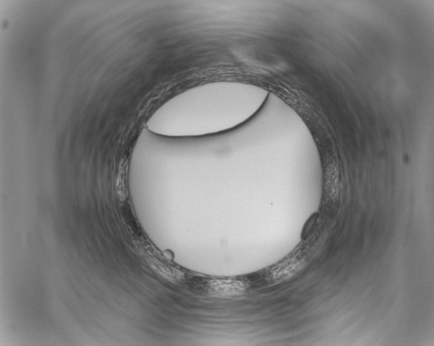 X0000059800234200510210905