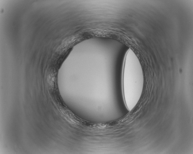 X0000059800235200510210905