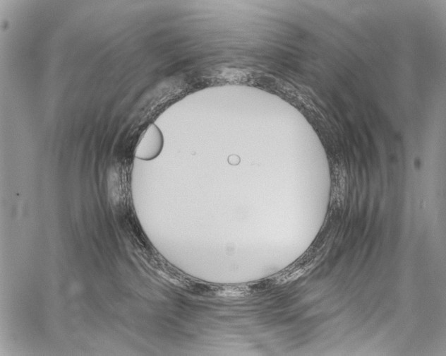 X0000059800236200510210905