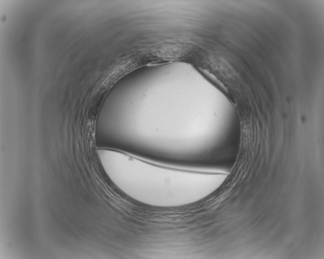 X0000059800237200510210905