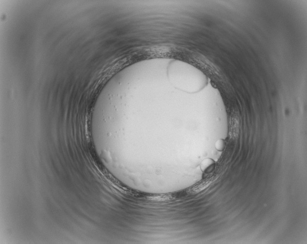 X0000059800238200510210905