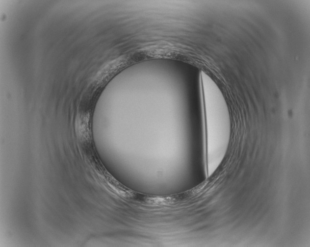 X0000059800239200510210904