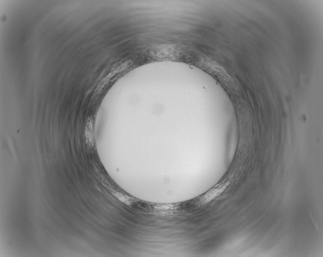 X0000059800240200510210904