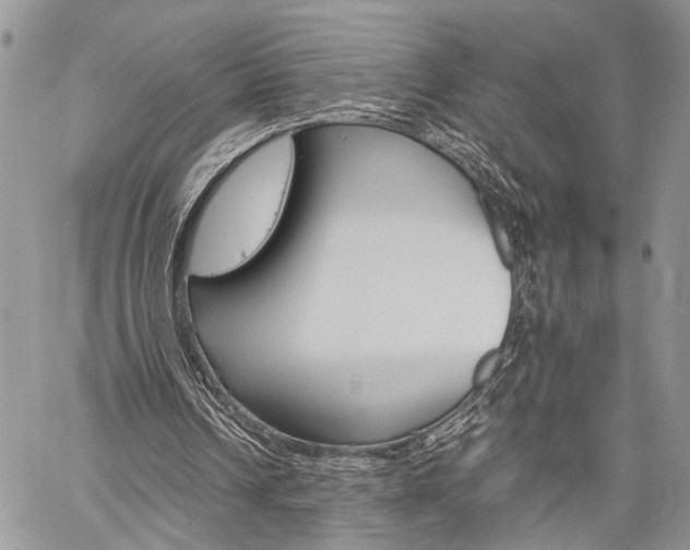 X0000059800242200510210904