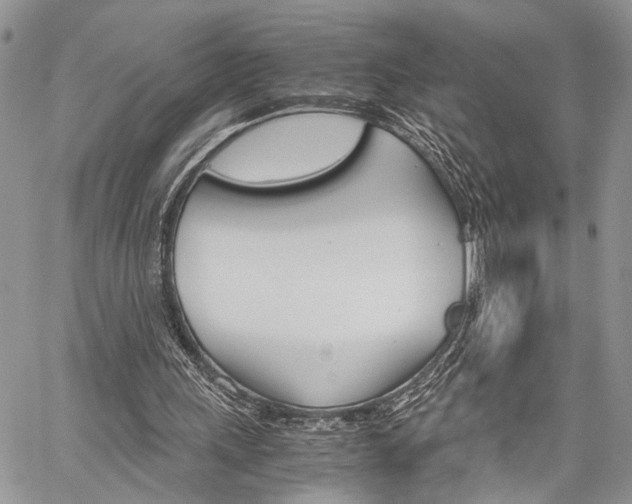 X0000059800243200510210904