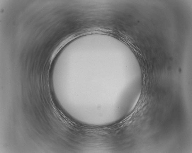 X0000059800244200510210904