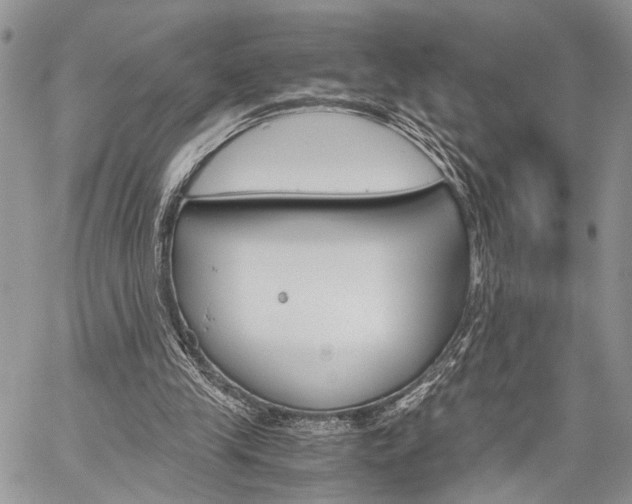 X0000059800245200510210904