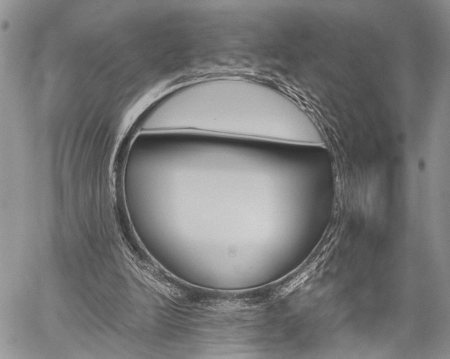 X0000059800246200510210904