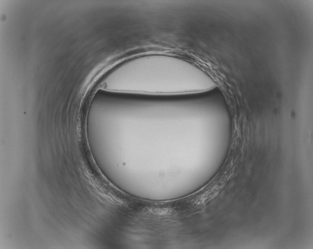 X0000059800247200510210904