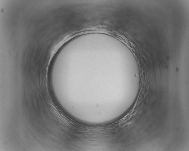 X0000059800248200510210904