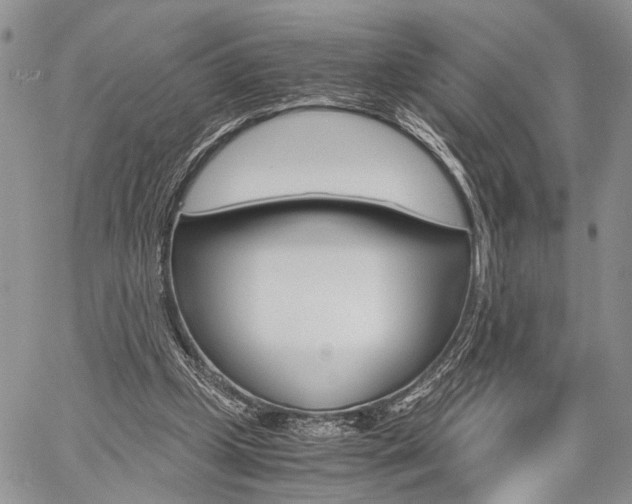 X0000059800249200510210904