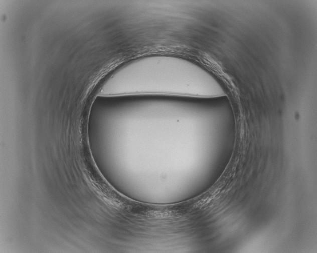 X0000059800250200510210904