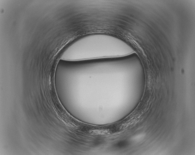 X0000059800251200510210904