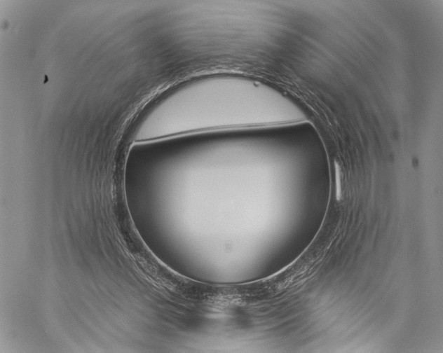 X0000059800252200510210904