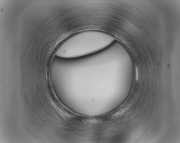 X0000059800253200510210904