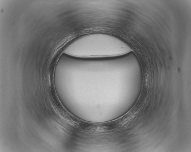 X0000059800254200510210904