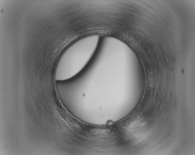 X0000059800255200510210904