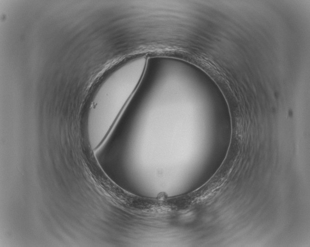 X0000059800256200510210904