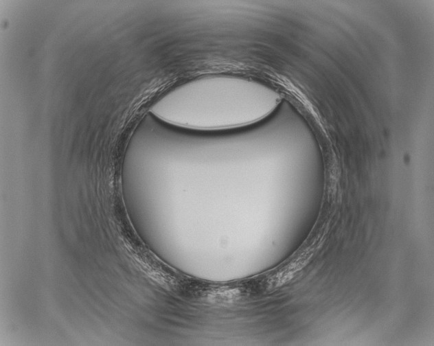 X0000059800257200510210904