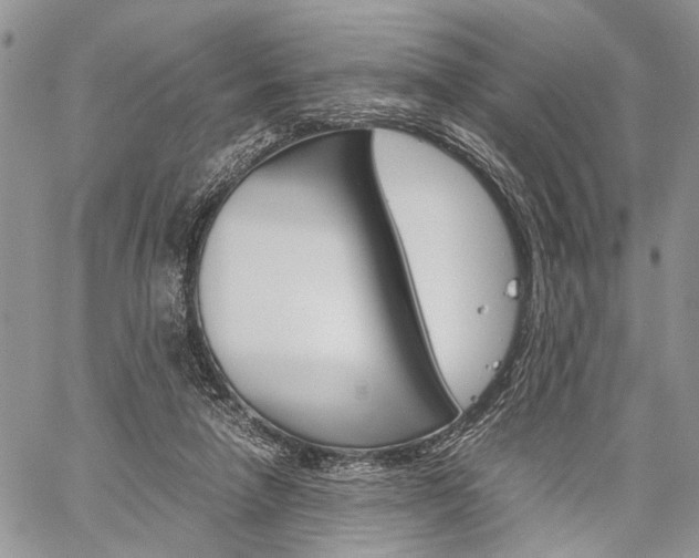 X0000059800258200510210904