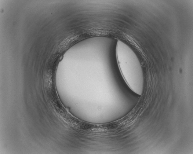 X0000059800259200510210904